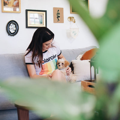 7 things to do with your dog at home during social distancing